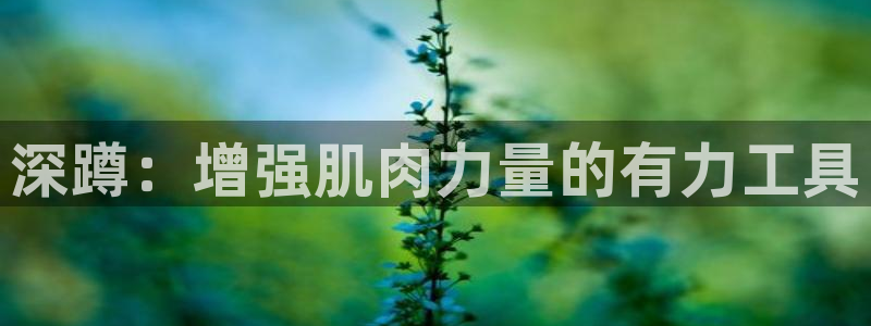 球速体育QsTY官网下载:深蹲:增强肌肉力量的有力工具